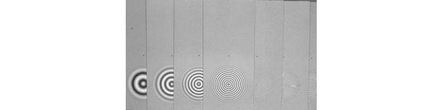 Bebe Vision Tropique